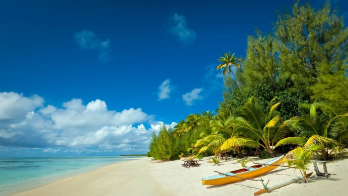 brown and blue board beach island nature tropical white 2k