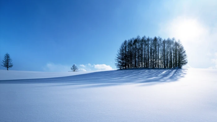 trees and snow terrain wallpaper winter nature cold temperature 2k