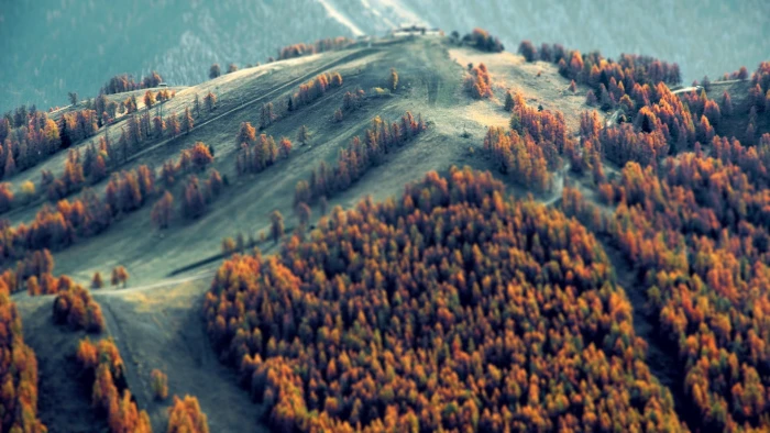 brown leafed trees mountain cover by nature landscape 2k