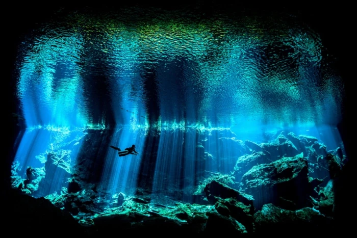 under water digital wallpaper nature sea underwater coral
