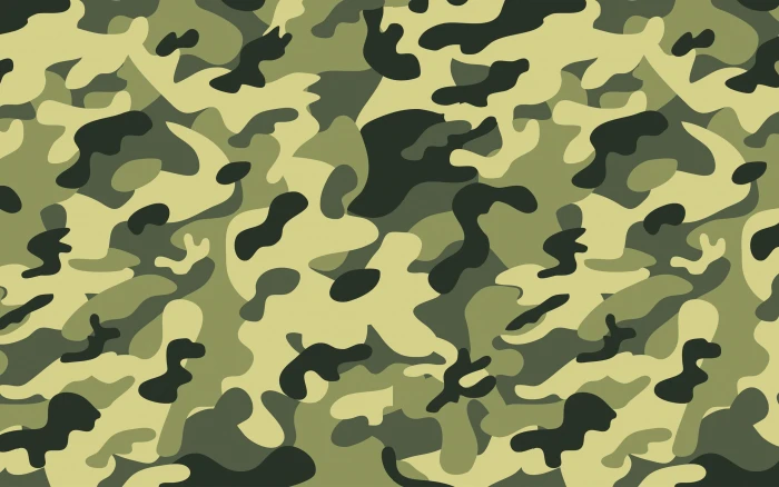 Camouflage Art Abstract Hiding Army 2k