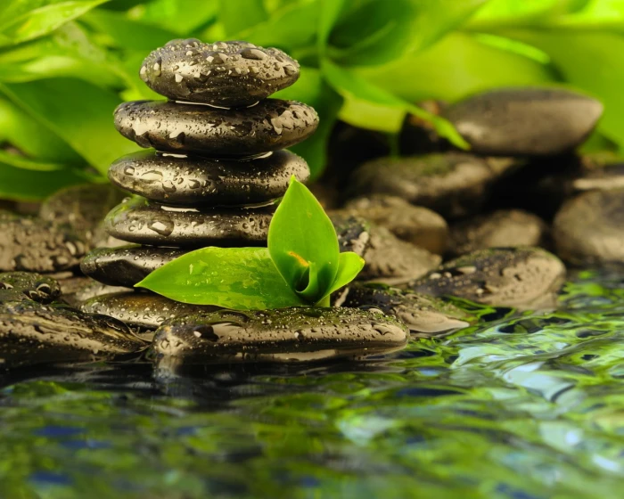 Wet Stones Zen Rocks Leaves Water Drops HD nature