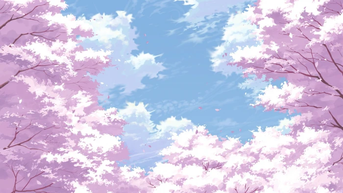 cherry blossom digital wallpaper low angle view beauty in nature 2k