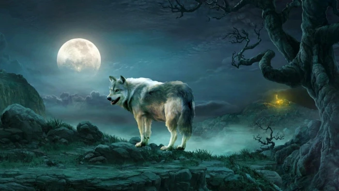 wildlife sky full moon moonlight artwork fantasy art darkness 2k