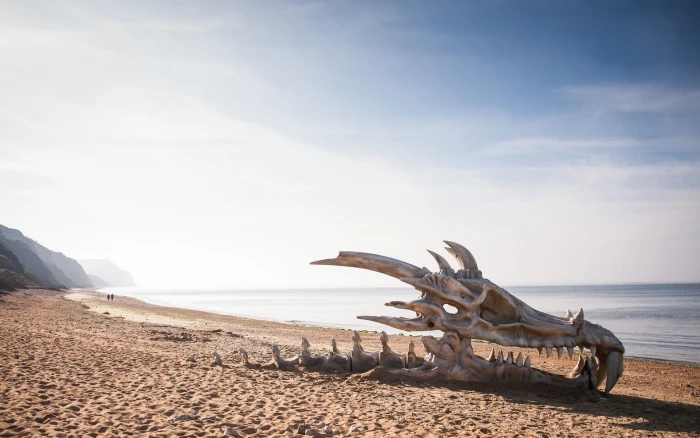 dragon skull on seashore digital wallpaper beach sky land 2k