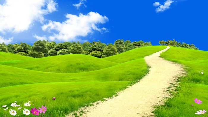 fields sky grassland nature blue meadow footpath 2k