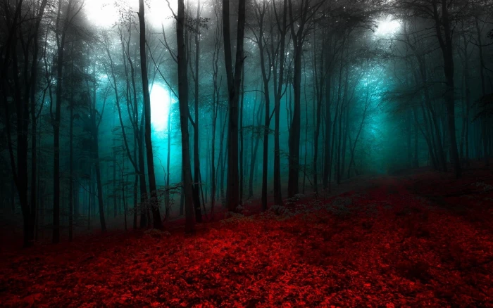 forest scenery nature landscape red blue mist trees path 2k