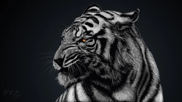 gray and black tiger greyscale photo of animals white tigers 2k