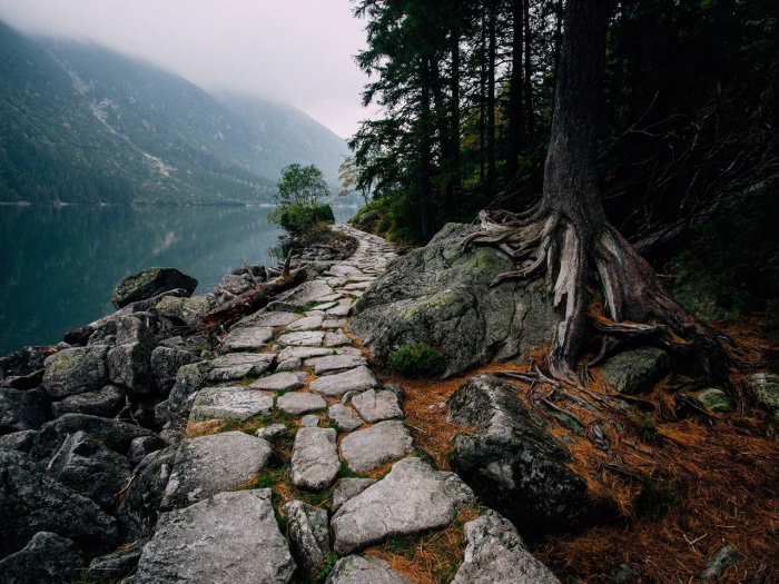 gray concrete road illustration path trees lake nature mountain