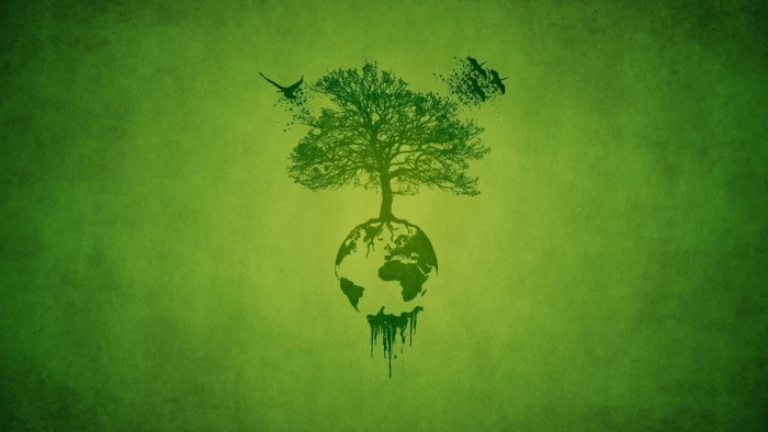 green abstract nature trees world birds earth simple background Animals Birds HD Art 2k