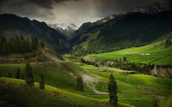 green grass field mountains valley nature landscape forest