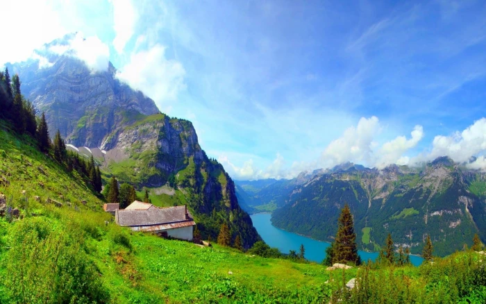 green grass field nature landscape mountains forest lake 2k