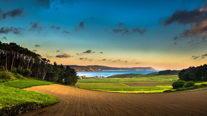 green leaf tree nature landscape clouds trees forest field 2k