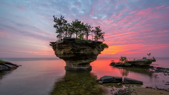 green leafed plant nature landscape rock clouds USA island 2k