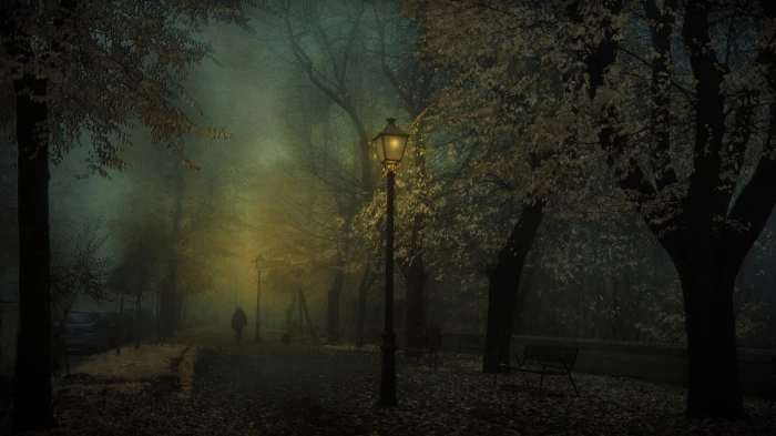 green leafed tree nature landscape dark park fall leaves 2k