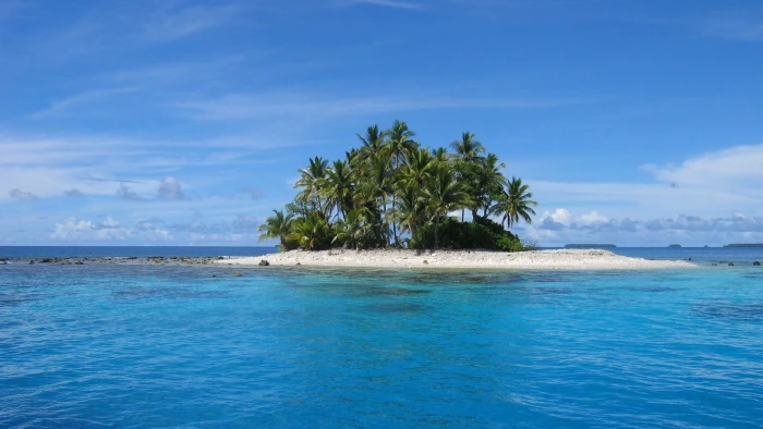 green palm trees island sea landscape nature beach water 2k