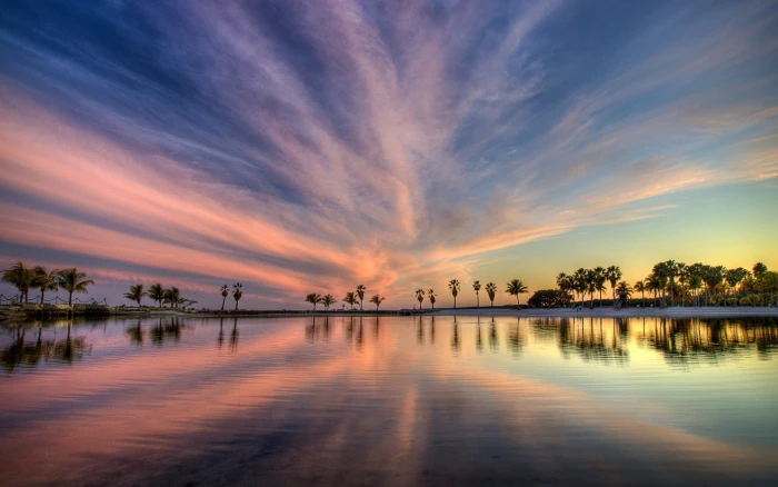 green tall trees near body of water nature sea sunset clouds 2k