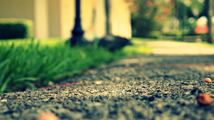 Ground Macro Blur HD nature 2k
