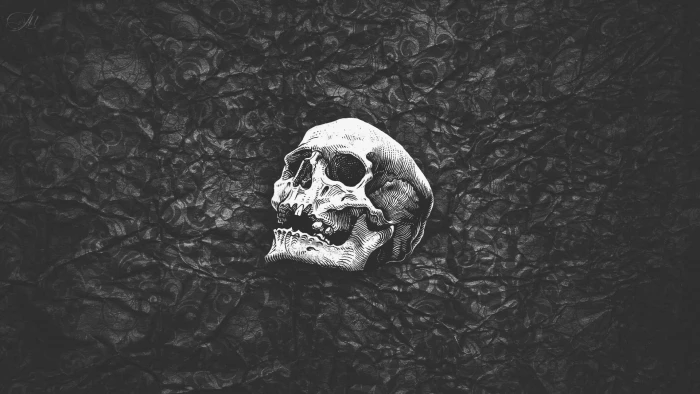 human skull wallpaper black white abstract simple artwork 2k