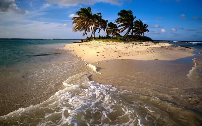 Island Tropical Beach Ocean Palm Trees HD nature 2k