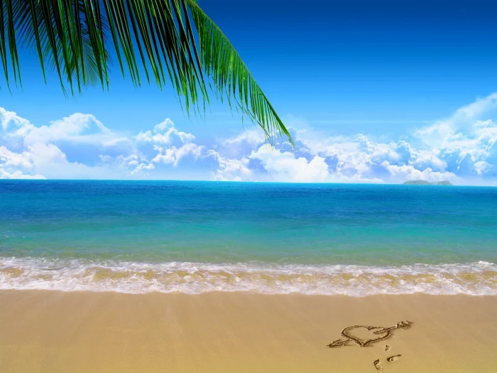 island sand beach palm trees sea 2k