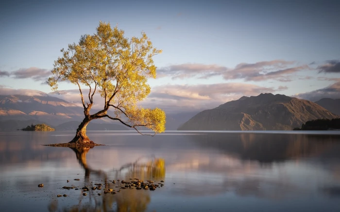 Landscape Nature Sunrise Lake Trees Mountain Water Clouds Reflection 2k