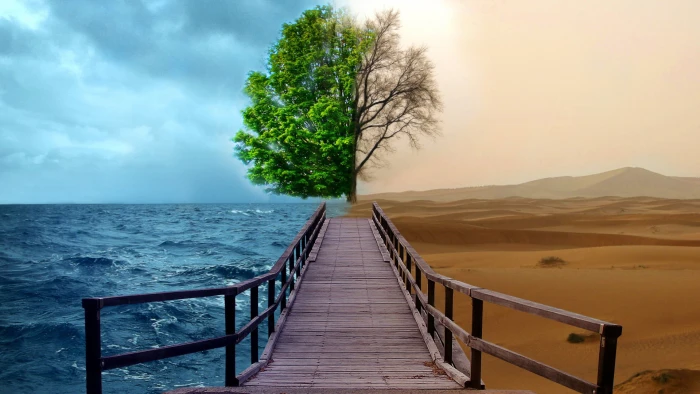 life sea sky water beach landscape ocean vacation sand 2k