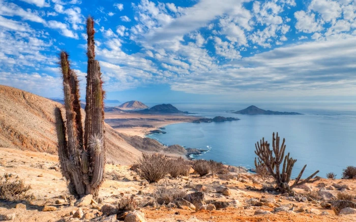 nature landscape beach cactus sea hills clouds Atacama Desert