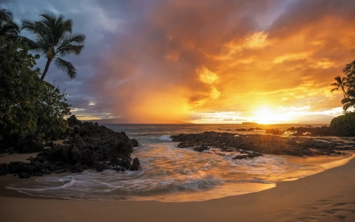 nature landscape sunset sand beach palm trees sea rock 2k