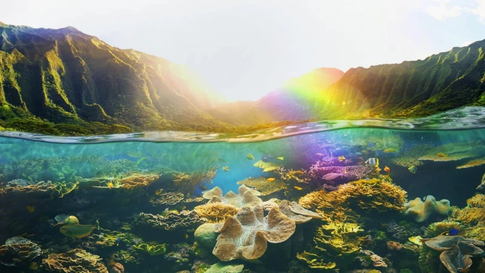 nature water rainbow mount scenery coral reef sky mountain 2k