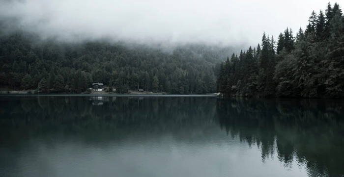 photo of body water under cloudy sky nature lake tree landscape 2k