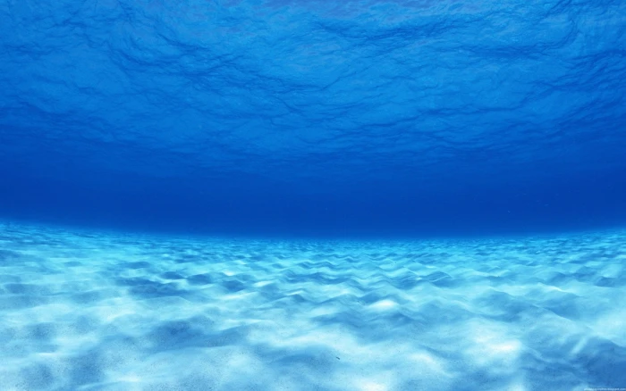 photography blue sea water underwater nature 2k