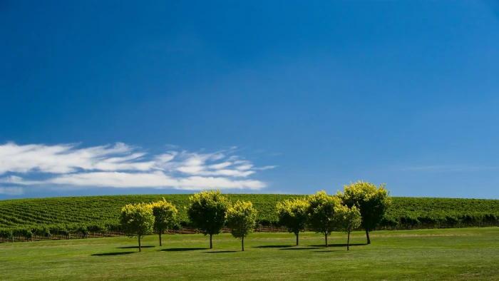 picture of nature beauty 2k