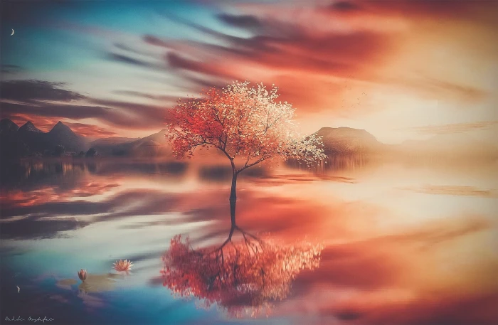 red leafed tree in between body of water wallpaper digital art 2k