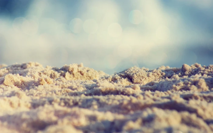 sand sea macro beach selective focus no people close up 2k