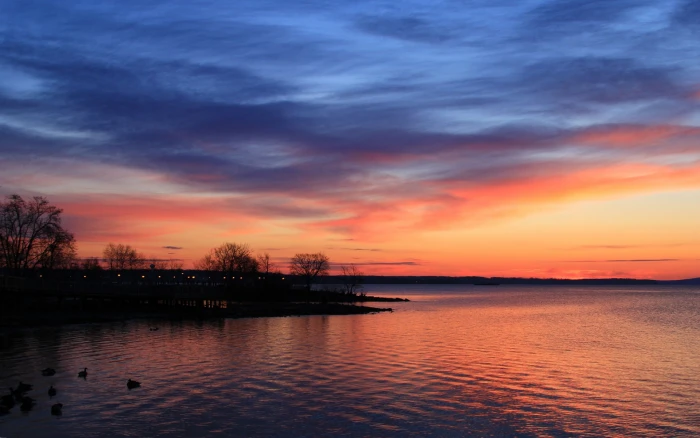 Scenery evening lake trees beautiful landscape 2k
