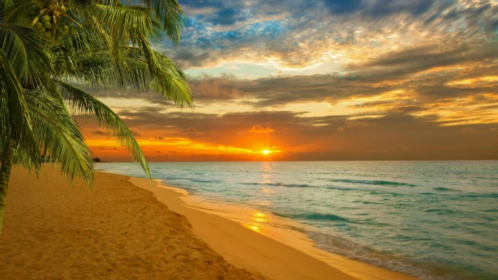 sunset sea summer palm sky tropics caribbean paradise 2k
