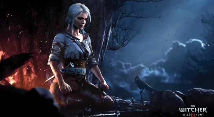 The Witcher 3 Wild Hunt Ciri digital wallpaper 2k