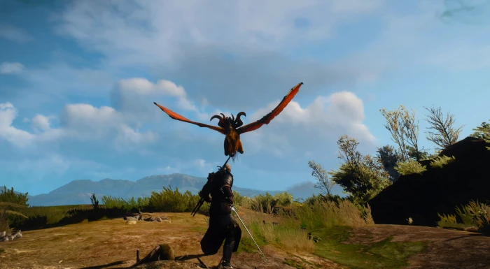 The Witcher 3 Wild Hunt Geralt of Rivia cloud sky nature 2k