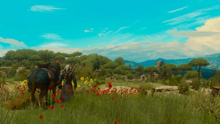 The Witcher 3 Wild Hunt Roach Geralt of Riva Blood and Wine 2k