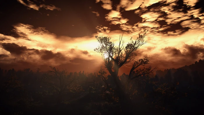 The Witcher 3 Wild Hunt video games screen shot PC gaming 2k