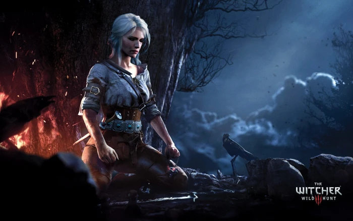 The Witcher game poster 3 Wild Hunt Ciri 2k