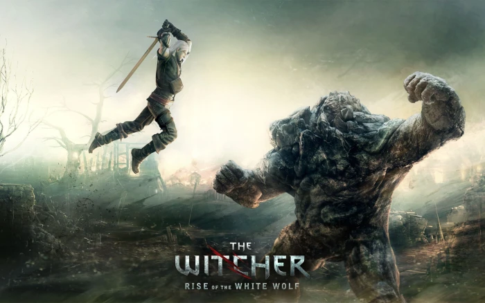 The Witcher Rise of the White Wolf 2k