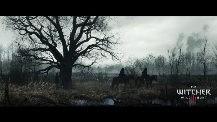The Witcher 3 Wild Hunt tree mammal plant 2k
