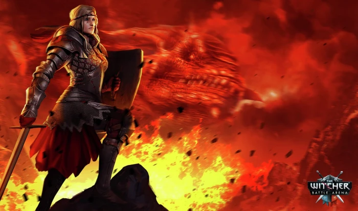 The Witcher Battle Arena 2k