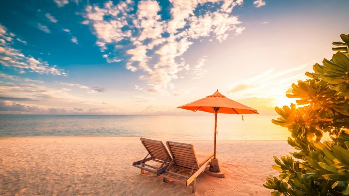 tropics tropical beach sandy calm ocean summer sunrise 2k