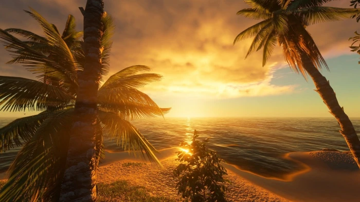 two coconut trees landscape sunset beach sky CGI palm tree 2k