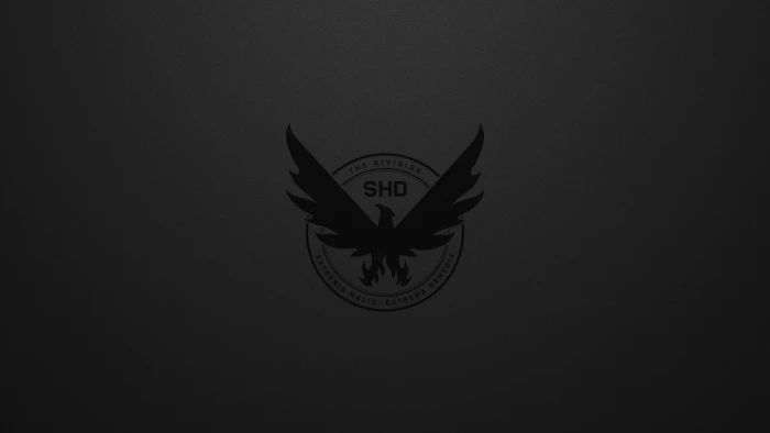 Video Game Tom Clancy's The Division 2 2k