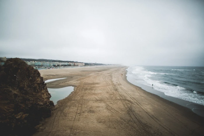 white and gray floral mattress nature landscape photography 2k