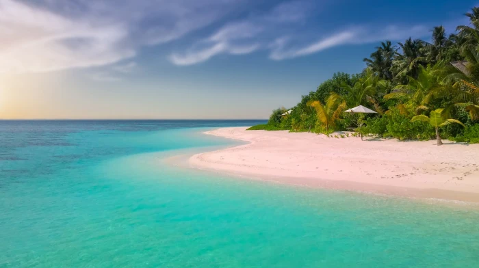 white sand beach by the ocean pink paradise 2k